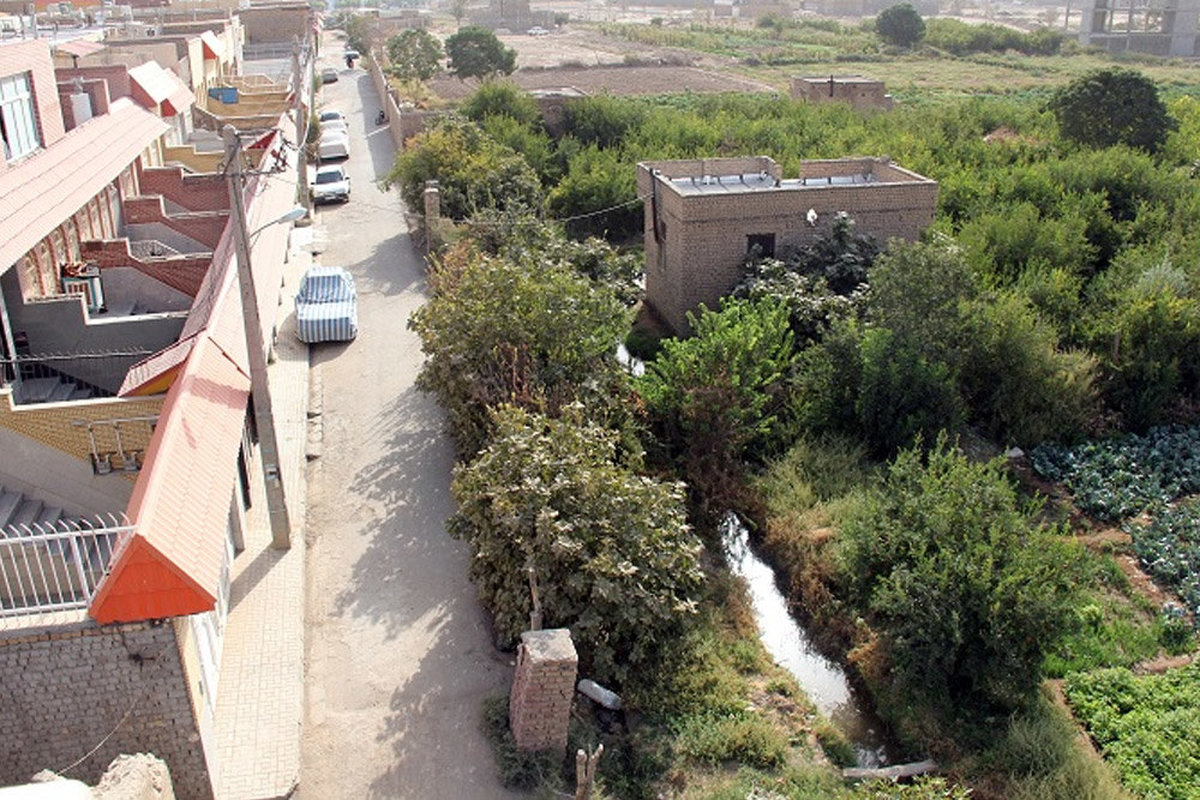 تلاش شورای شهر قم برای حفظ باغات شهر