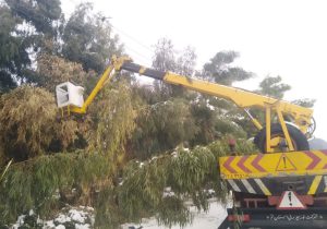 عملیات هرس شاخه درختان در حریم شبکه توزیع برق در قم به اجرا درآمد