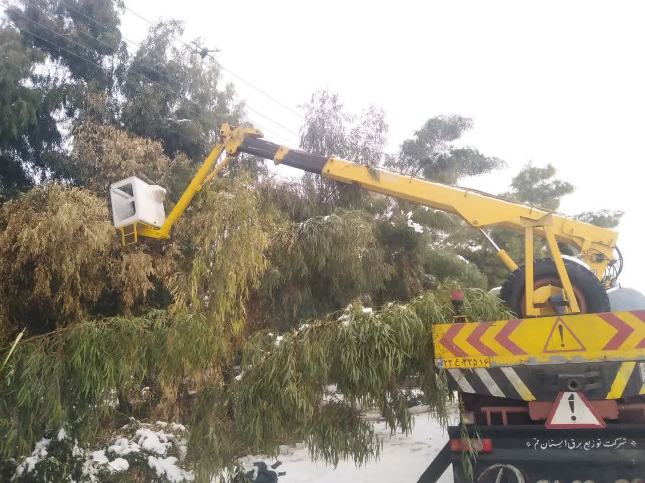 عملیات هرس شاخه درختان در حریم شبکه توزیع برق در قم به اجرا درآمد