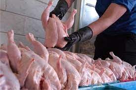 توزیع روزانه ۱۲۰ تن مرغ گرم در شهرستان اراک