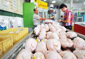 توزیع مرغ بیش از نیاز بازار در استان مرکزی